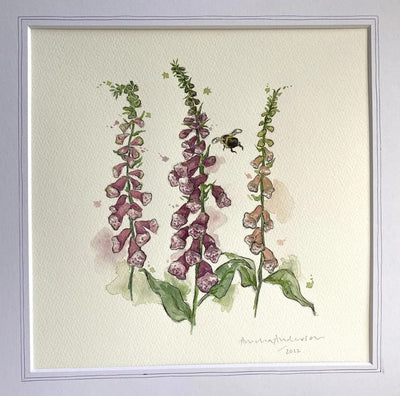 Amelia Anderson: Quirky Pen and Watercolour Illustrations