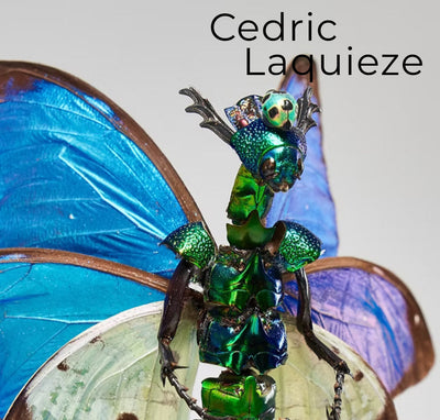 Cedric Laquieze: Fairy Sculptures